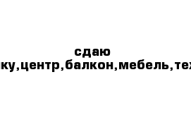 сдаю гостинку,центр,балкон,мебель,техника